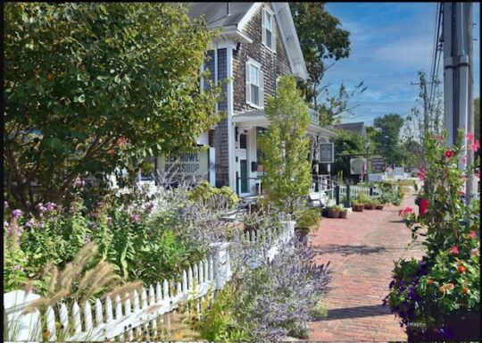 The Art Lover’s Guide to Orleans: A Journey Through Cape Cod’s Cultural Heart